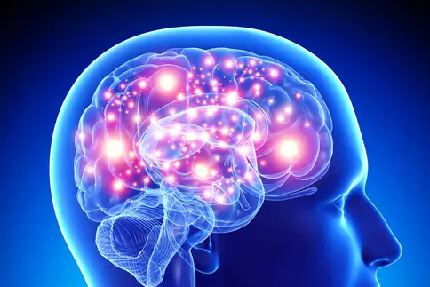 photo of active brain