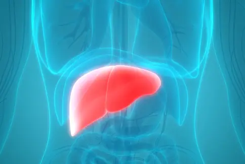 1800ss_thinkstock_rf_liver_illustration