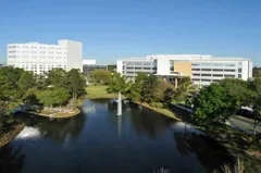 Mayo Clinic Exterior 3
