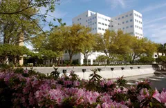 Mayo Clinic Exterior 1