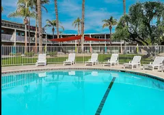 Palm Springs Pool