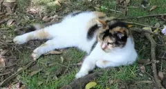 Test3
