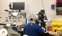 OC Fertility