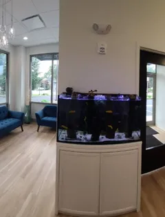 Inertia Dental