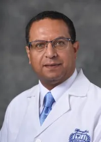 Mohamed A Elshaikh