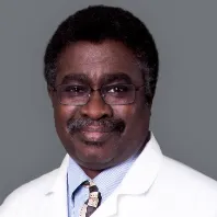 Francis A Akita