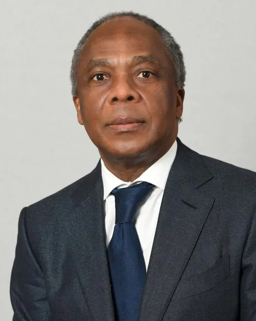 Okechukwu P Anene