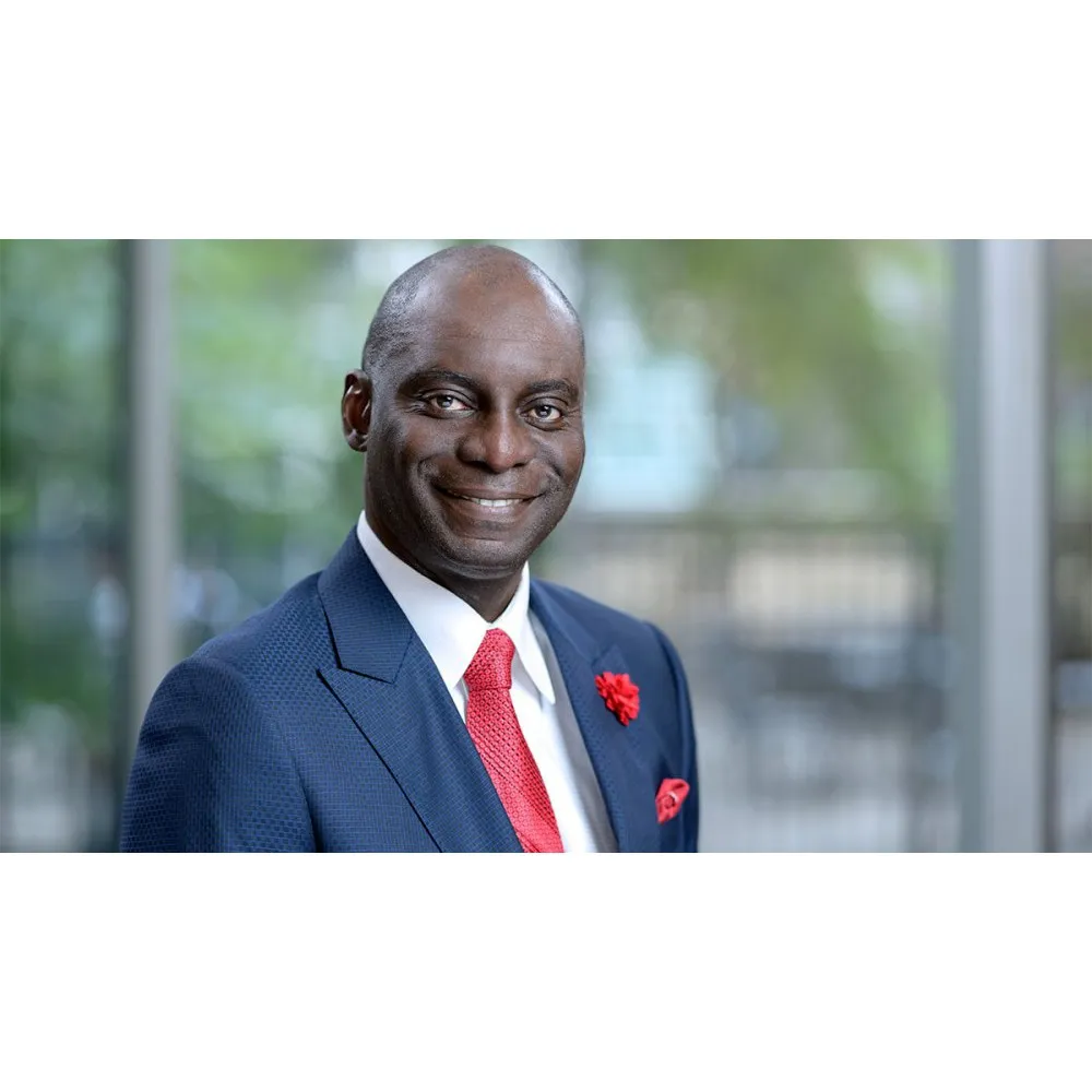 Kojo S.j. Elenitoba-Johnson