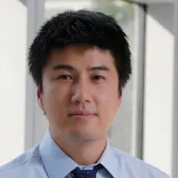 Peter J Lee