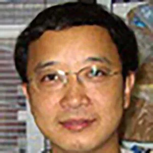 Tao Wang