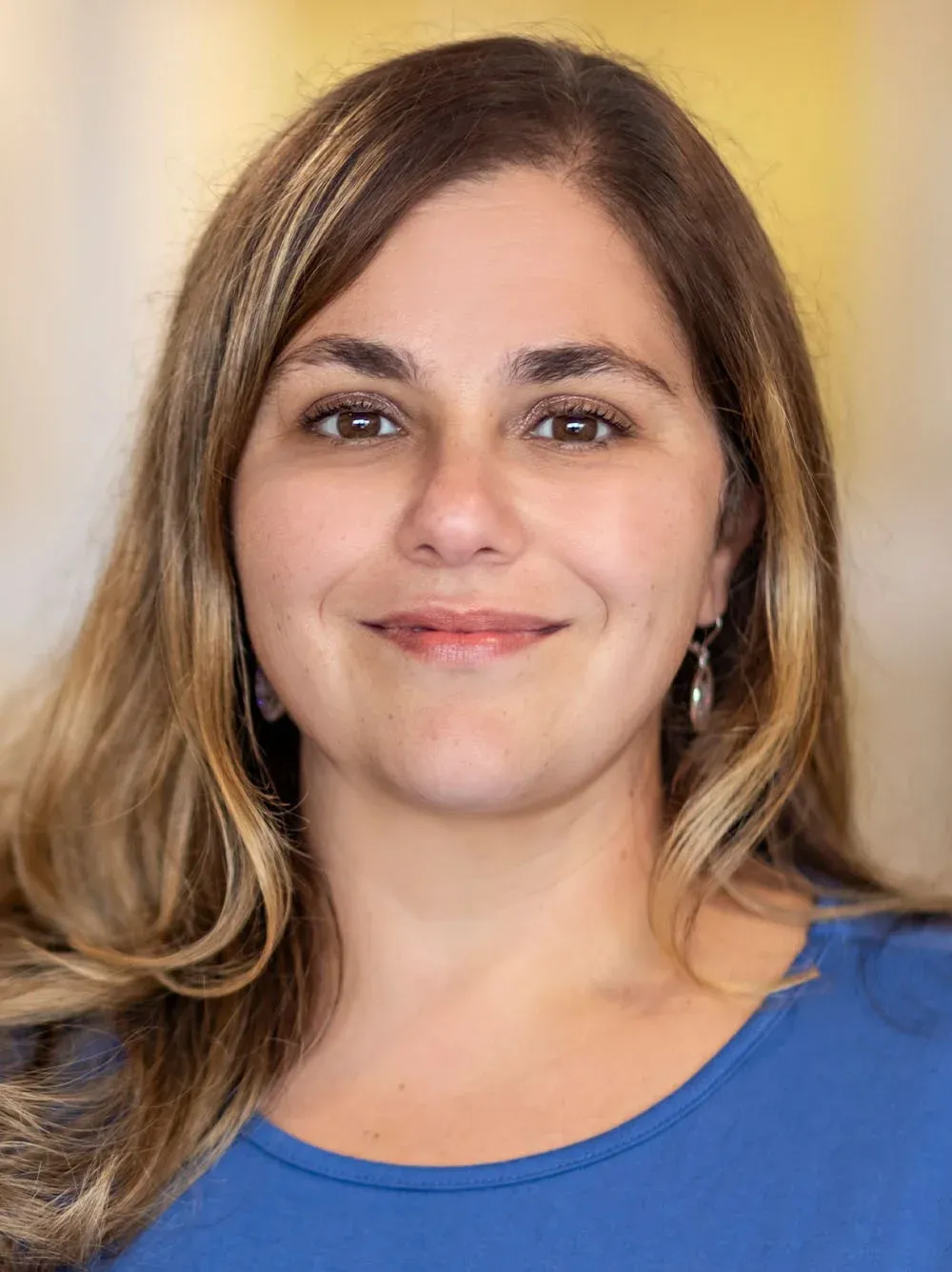 Lisa M. Dapuzzo-Argiriou