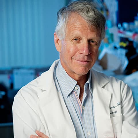 Lawrence Steinman