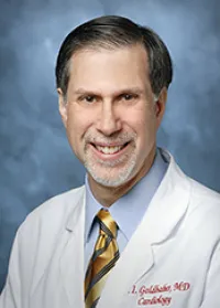 Joshua I Goldhaber