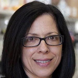 Elizabeth Marion Jaffee