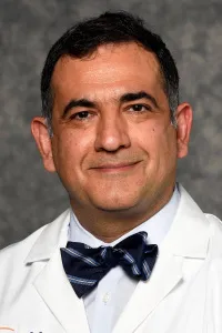 Mehdi Seyed Mirsaeidi