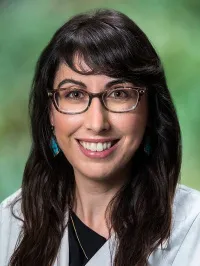 Arij Faksh