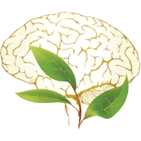 BNI Treatment Centers For Teens