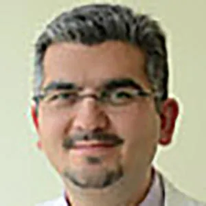 Seyed Ali Fatemi