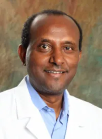 Fregenet A. Alemu