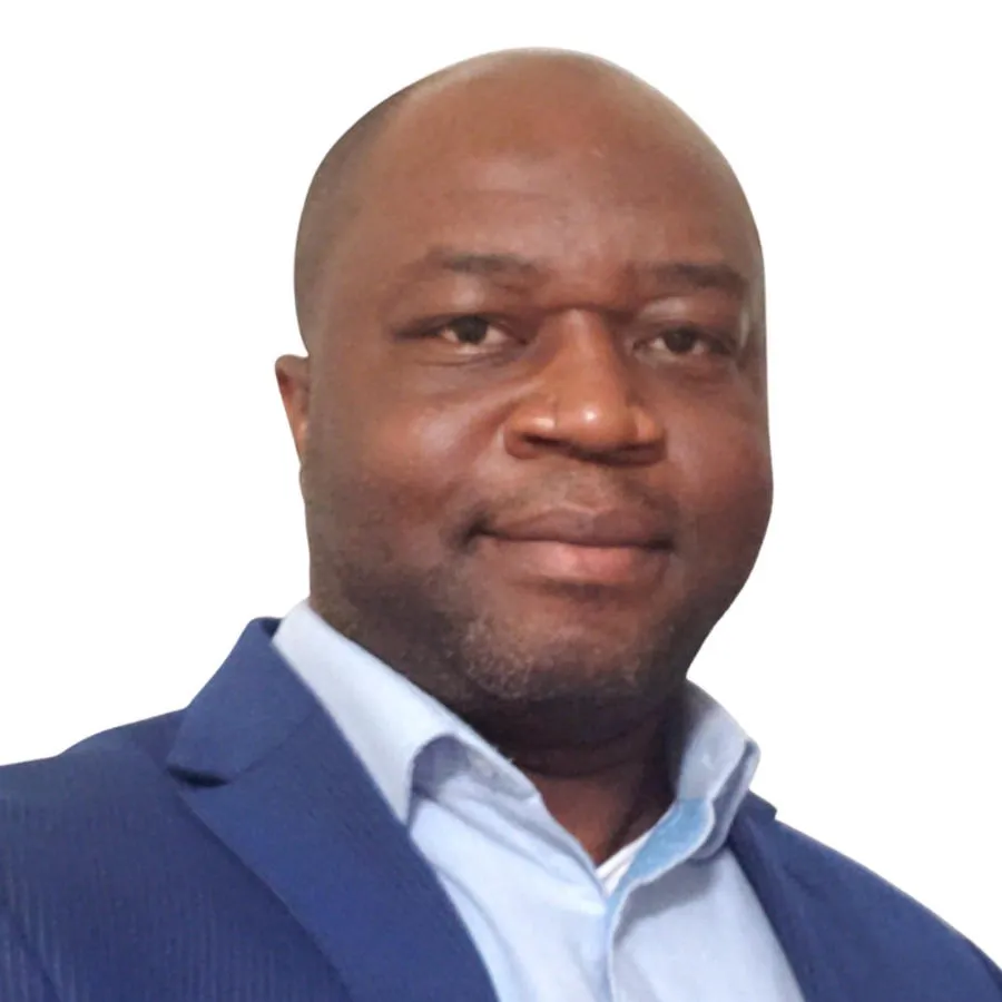 Emmanuel K Ameyibor