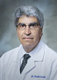 Ralph A Gambardella