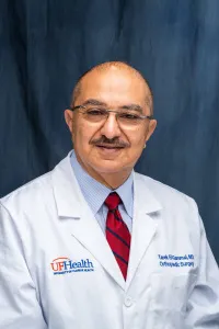 Tarek Abdalla El-Gammal