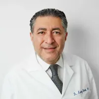 Kambiz Shekib