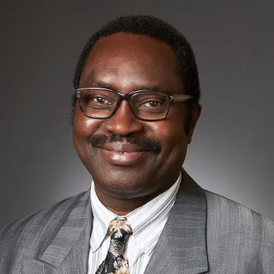 Theophilus Tolulope Ogungbamigbe