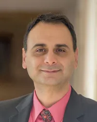 Amir S. Lotfi