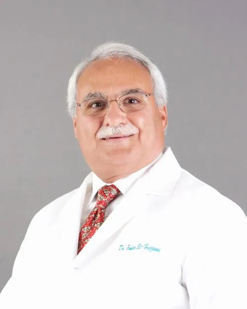 Zoheir R. El-Hajjaoui