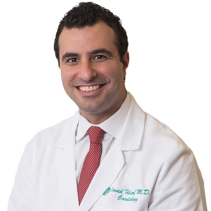 David Mansour Filsoof