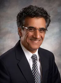 Hesamodin Borhani