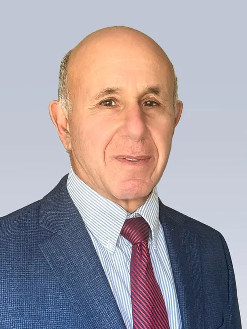 Stephen E. Orlin