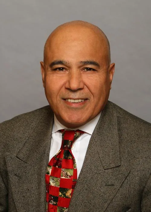Reza Govashiri