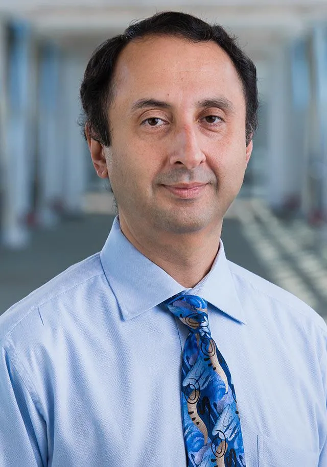 Mirza Hasan