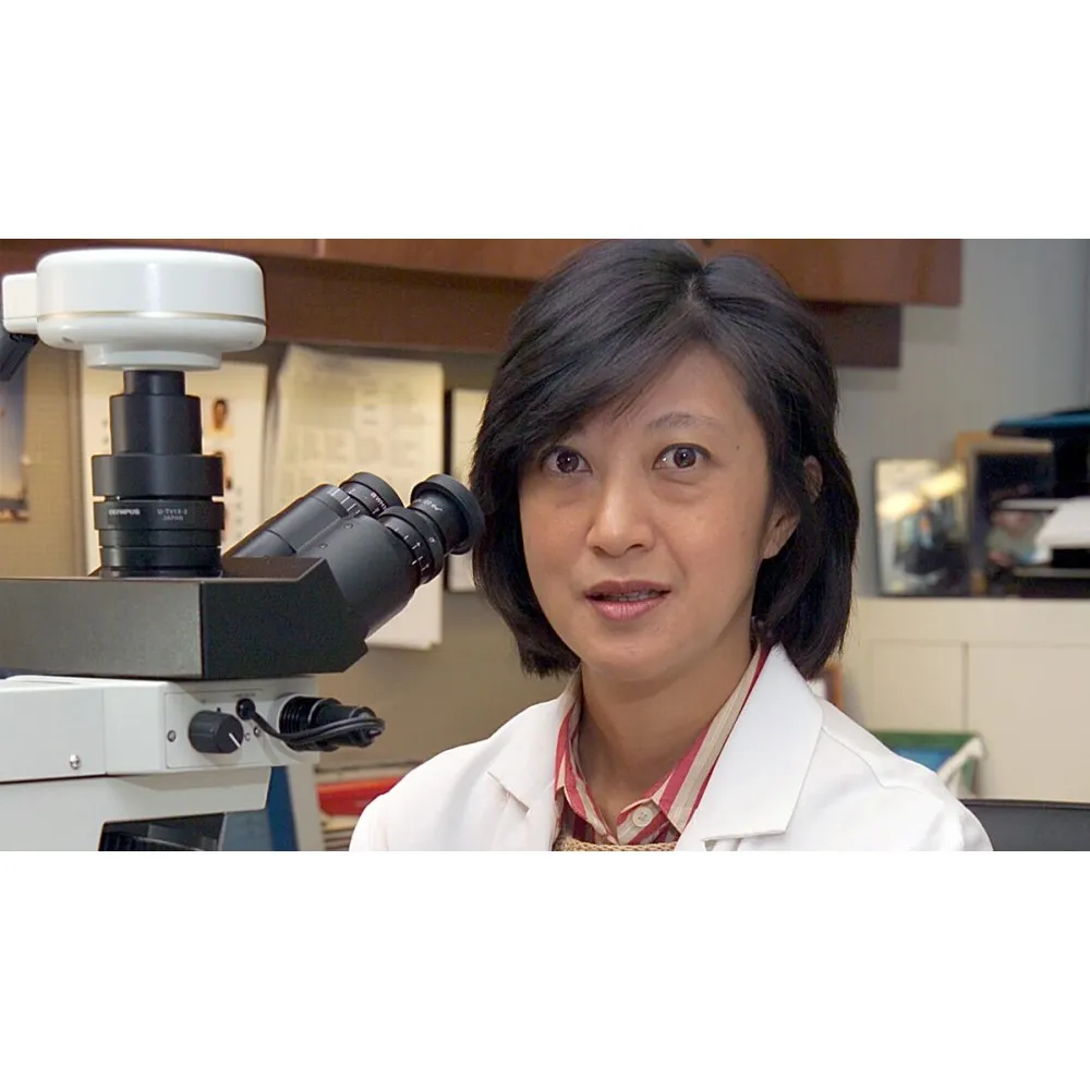 Lee K. Tan