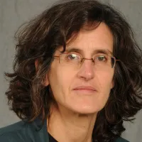 Cathy Scheiner