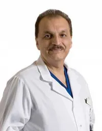 Pir Wajidali Shah