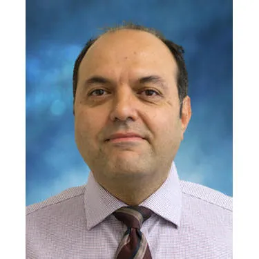 Ali Asghar Gamini