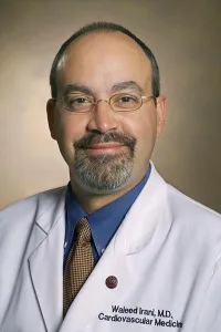 Waleed Nabil Irani