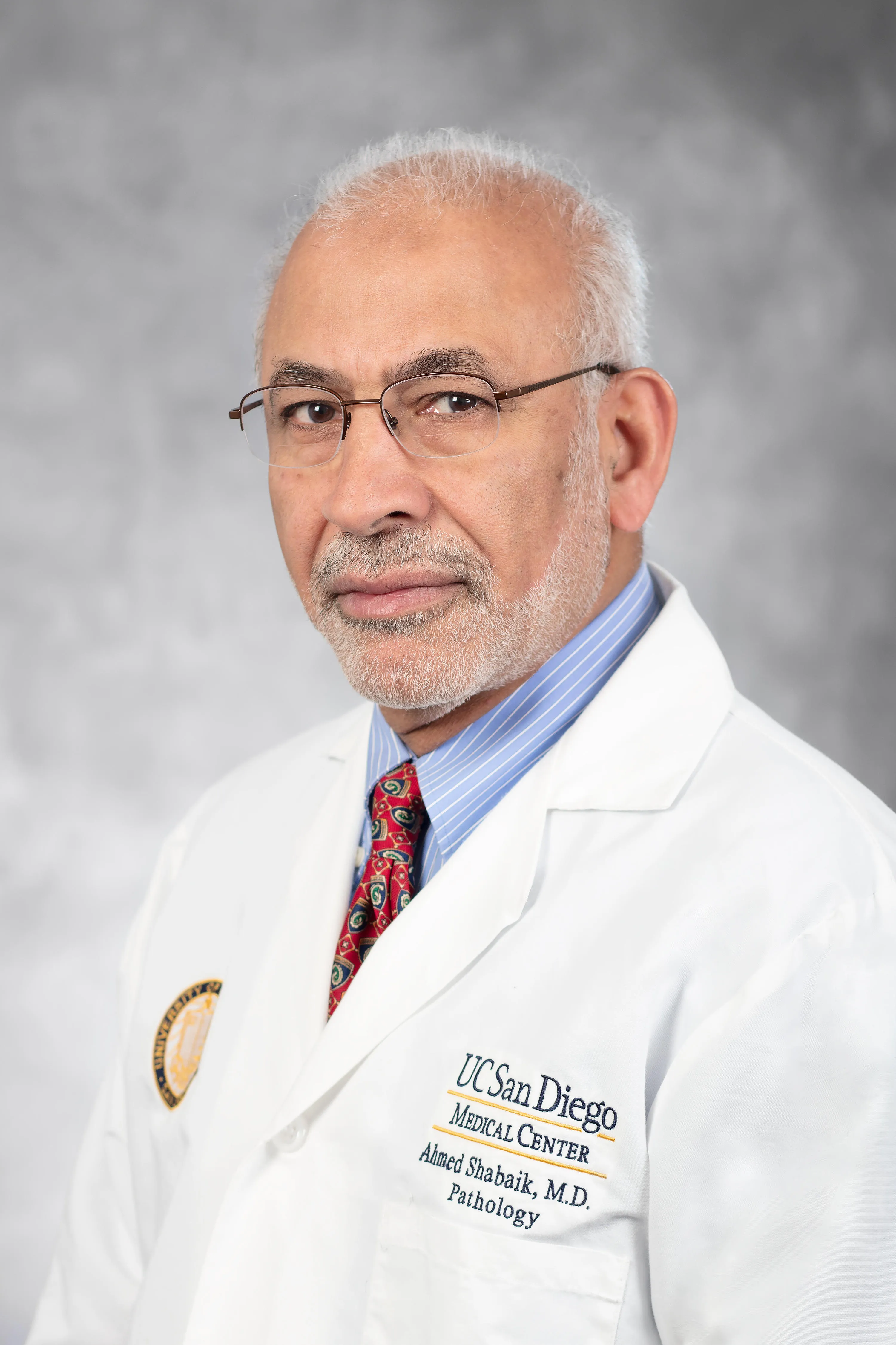 Ahmed S. Shabaik