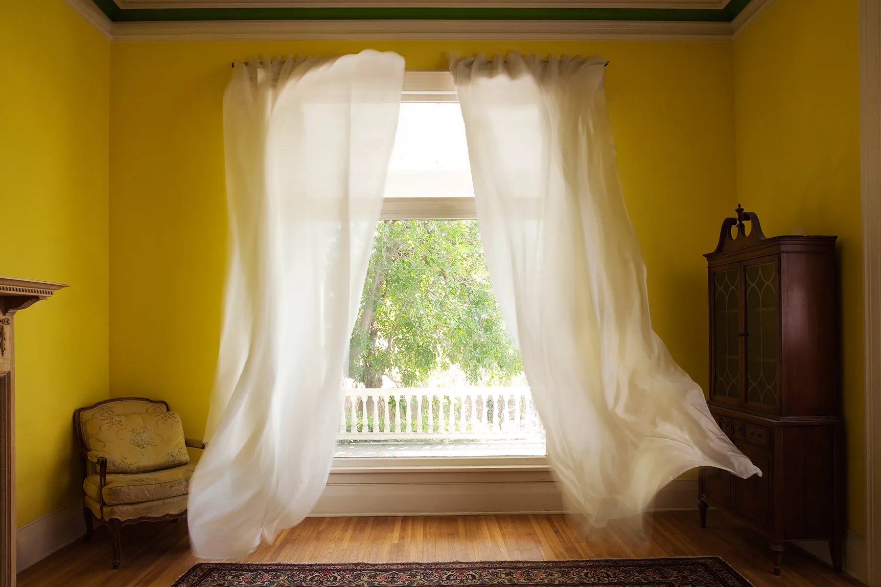 Improve Your Air Quality