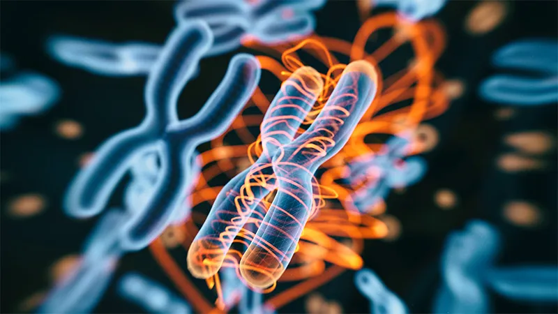 X-Linked Ichthyosis Not Linked to Heart Problems in Kids
