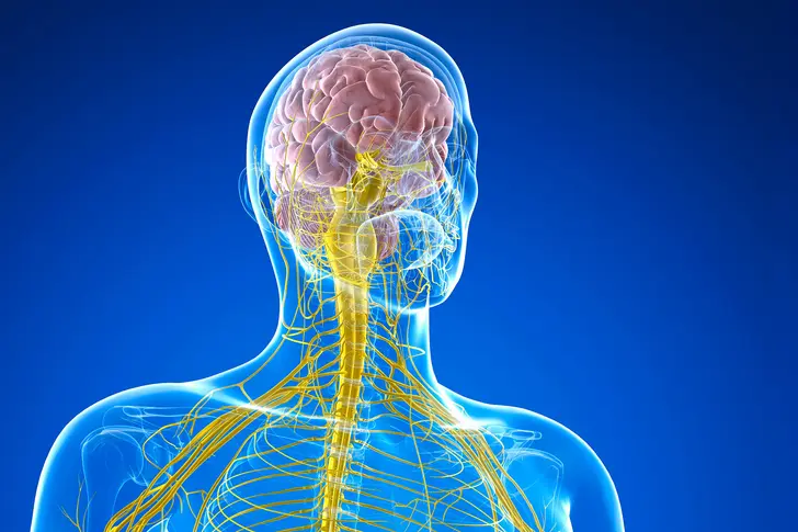 When Do Neurological Symptoms Need Attention?