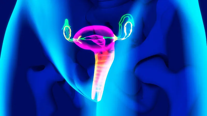 How Female Biology Could Solve the Mystery of Longevity