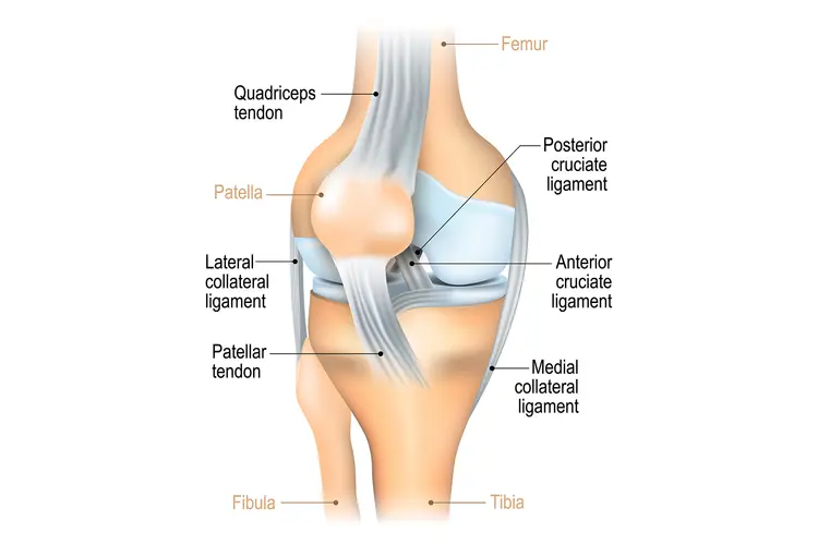 photo of MCL knee injury