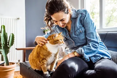 Allergies caused by a cat can bring on a range of physical symptoms that may show up right away or take hours to appear. (Photo Credit: DigitalVision/Getty Images)
