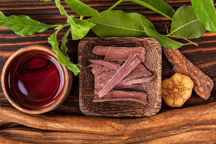 photo of Ayahuasca brew
