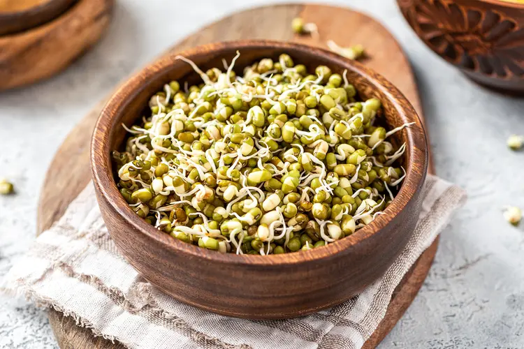 photo of Sprouted mung bean