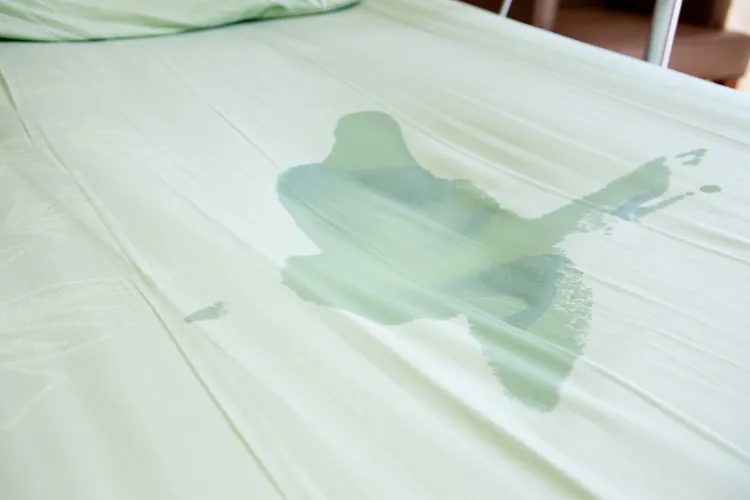 photo of bed with pee on it